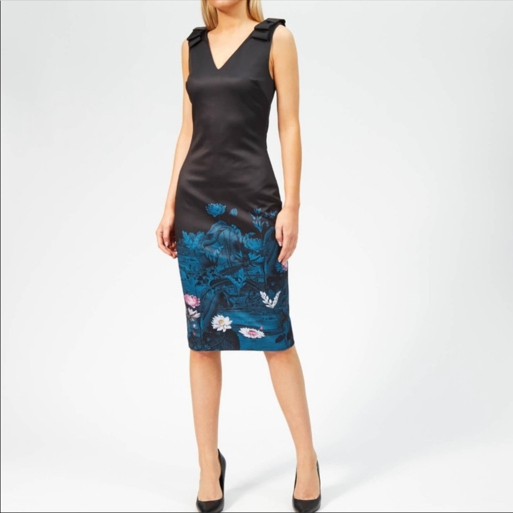 Ted Baker Dinina Wonderland Midi Dress size 1